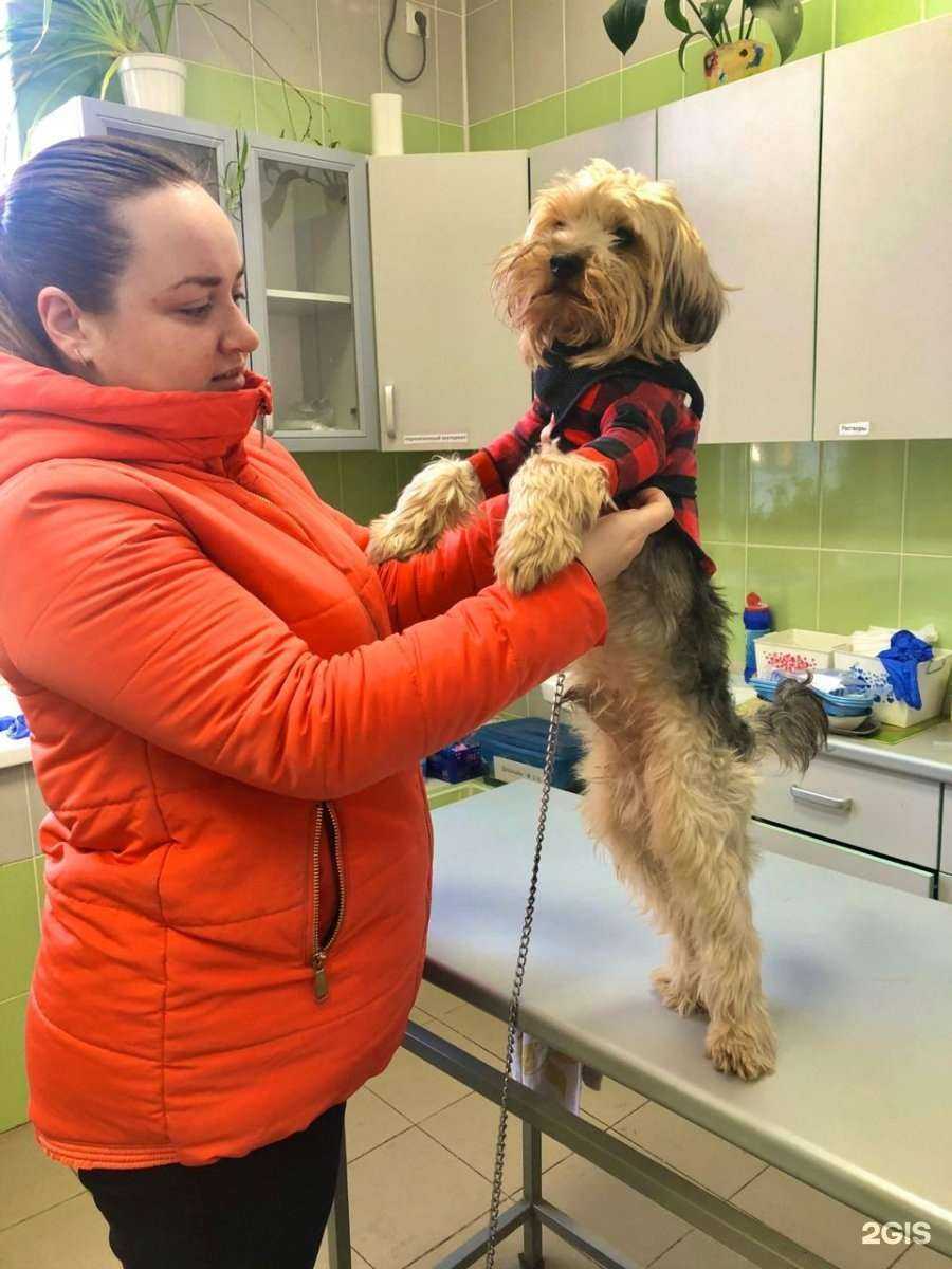 Отзывы на компанию Управление ветеринарии г. Армавира в Армавире c фото