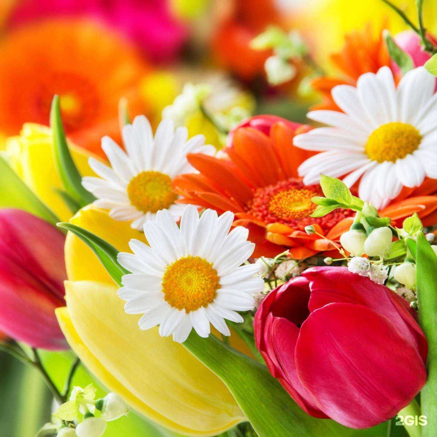 Отзывы на компанию Зеленая сфера в Екатеринбурге c фото