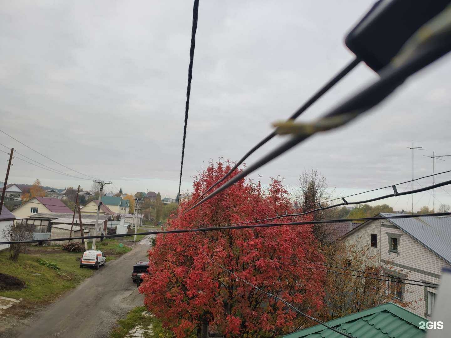 Отзывы на компанию Сд-трейд в г. Красноярск c фото