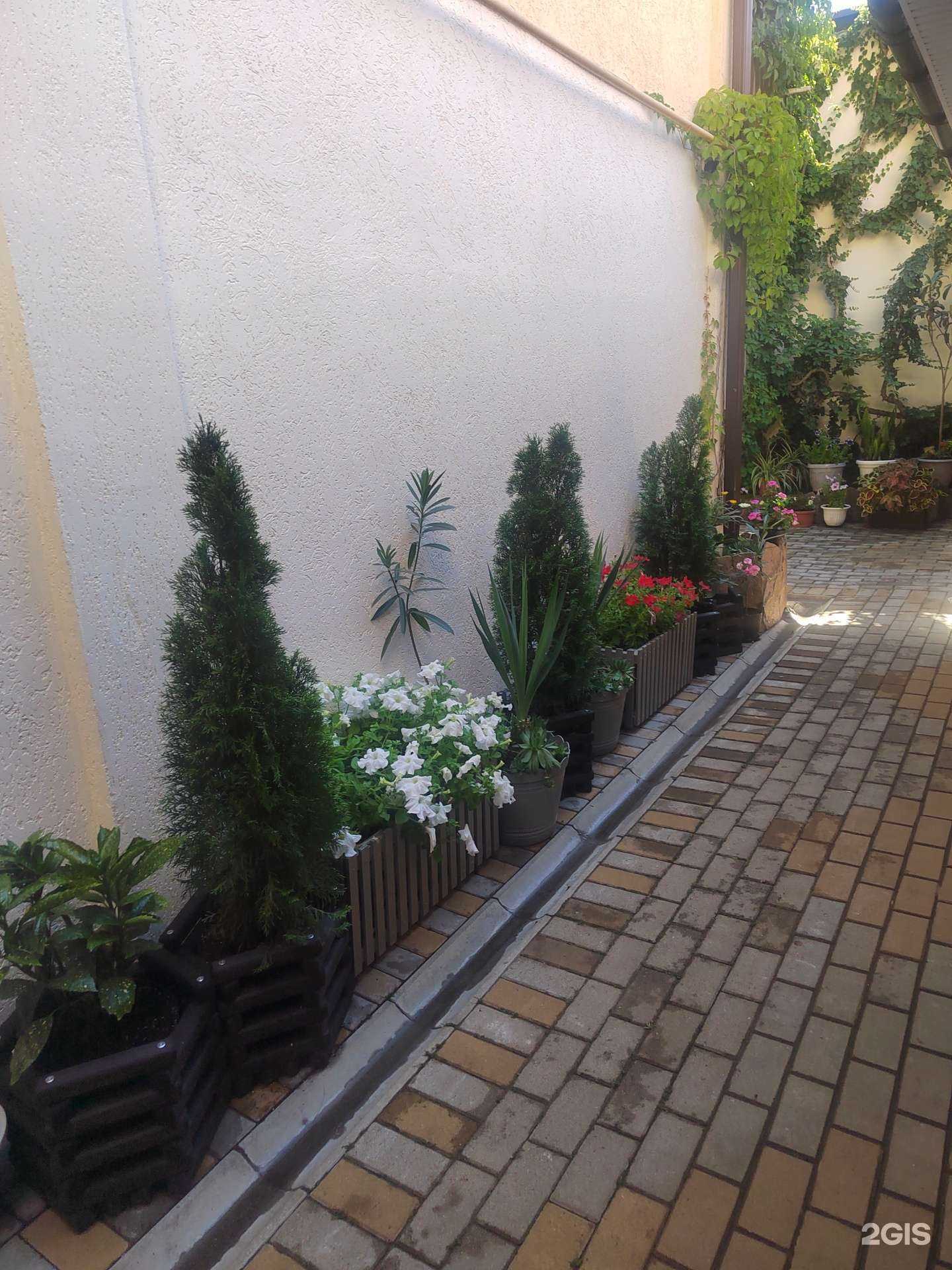 Отзывы на компанию Тихий домик в Анапе c фото - фотография 2 из 2