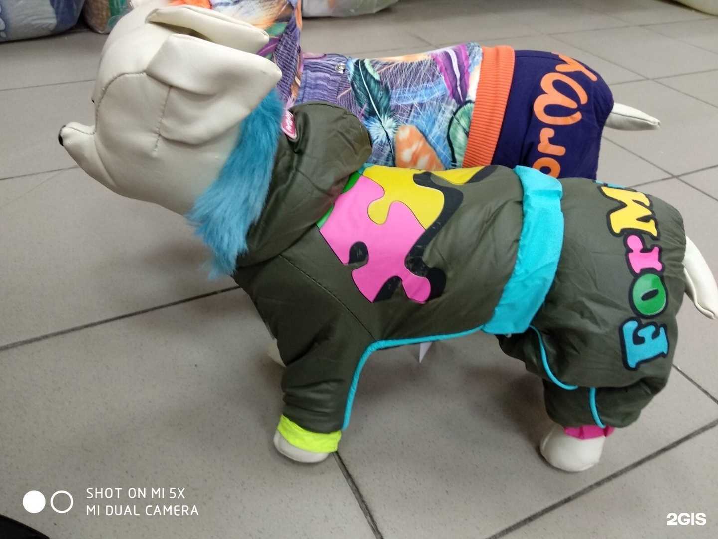 Отзывы на компанию Собачье сердце в Тюмени c фото