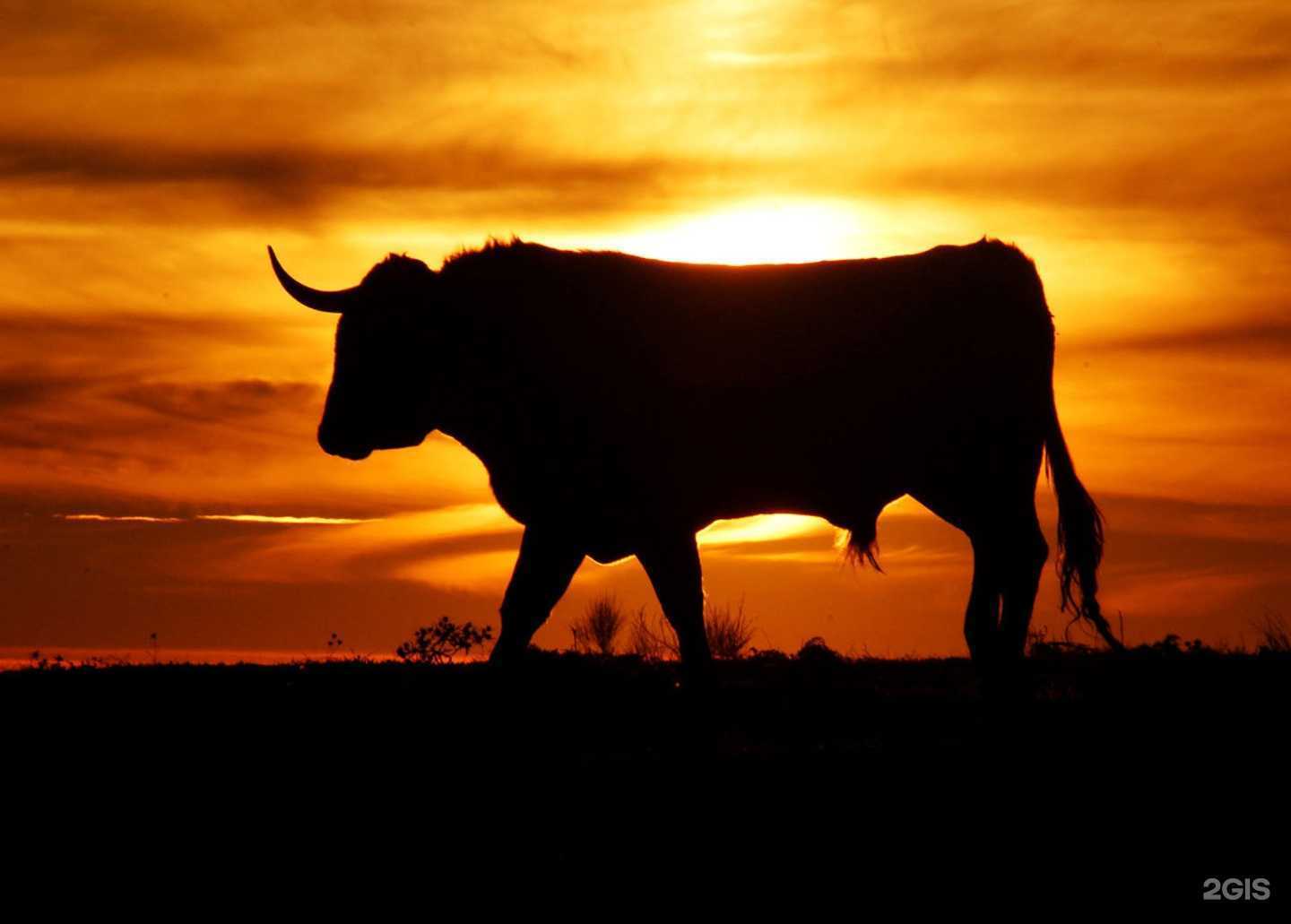 Отзывы на компанию Мясолюбы в Иркутске c фото