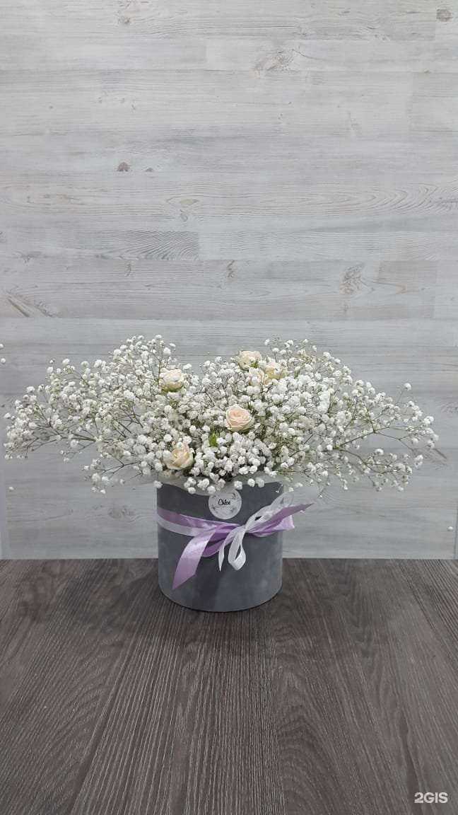 Отзывы на компанию Chloe в Краснодаре c фото