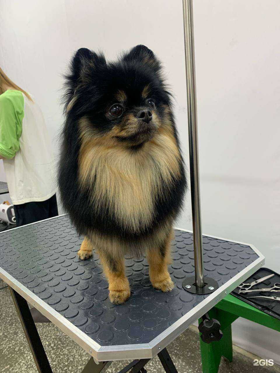 Отзывы на компанию Симуран в Бийске c фото