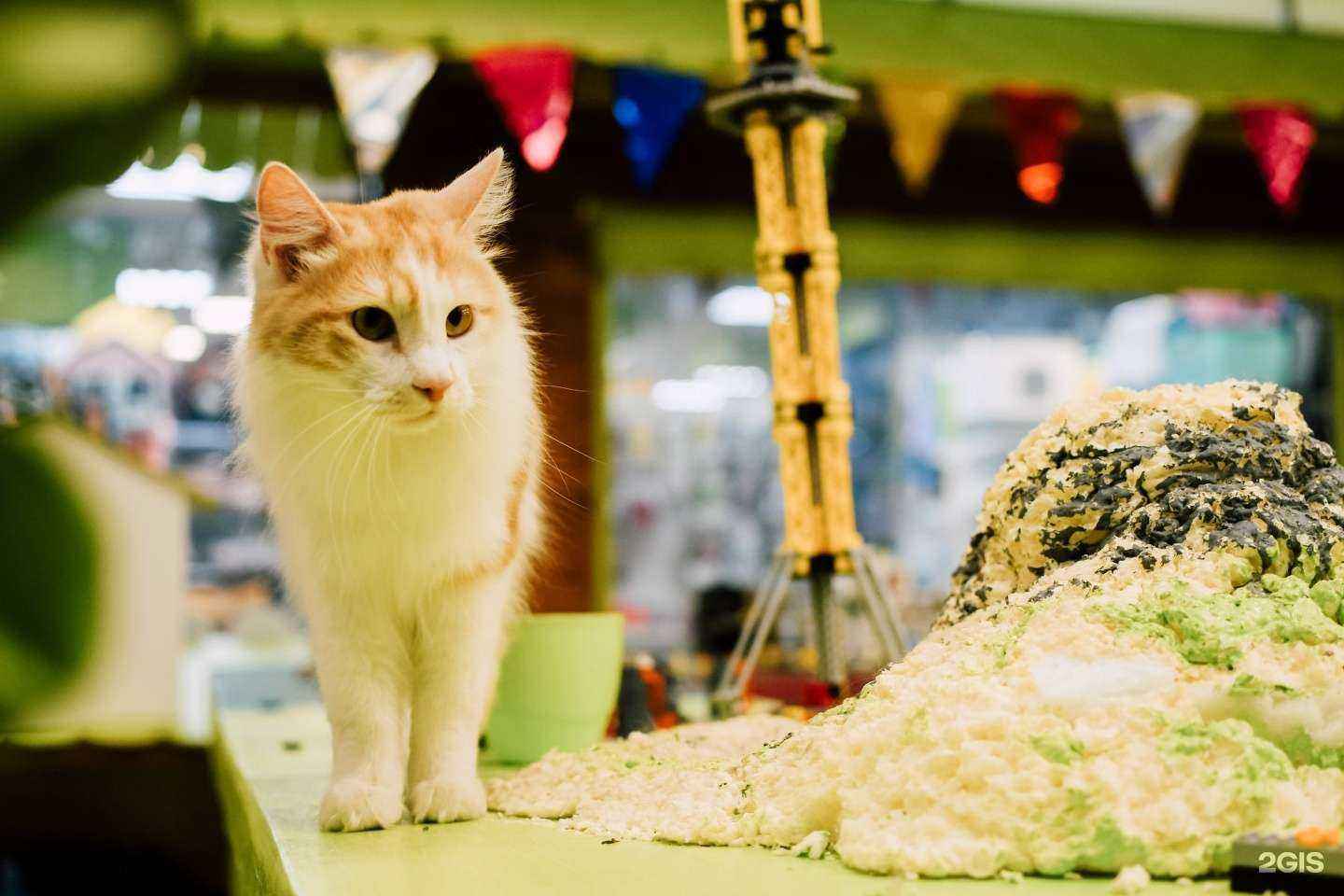 Отзывы на компанию ЗооДисконт в г. Иркутск c фото