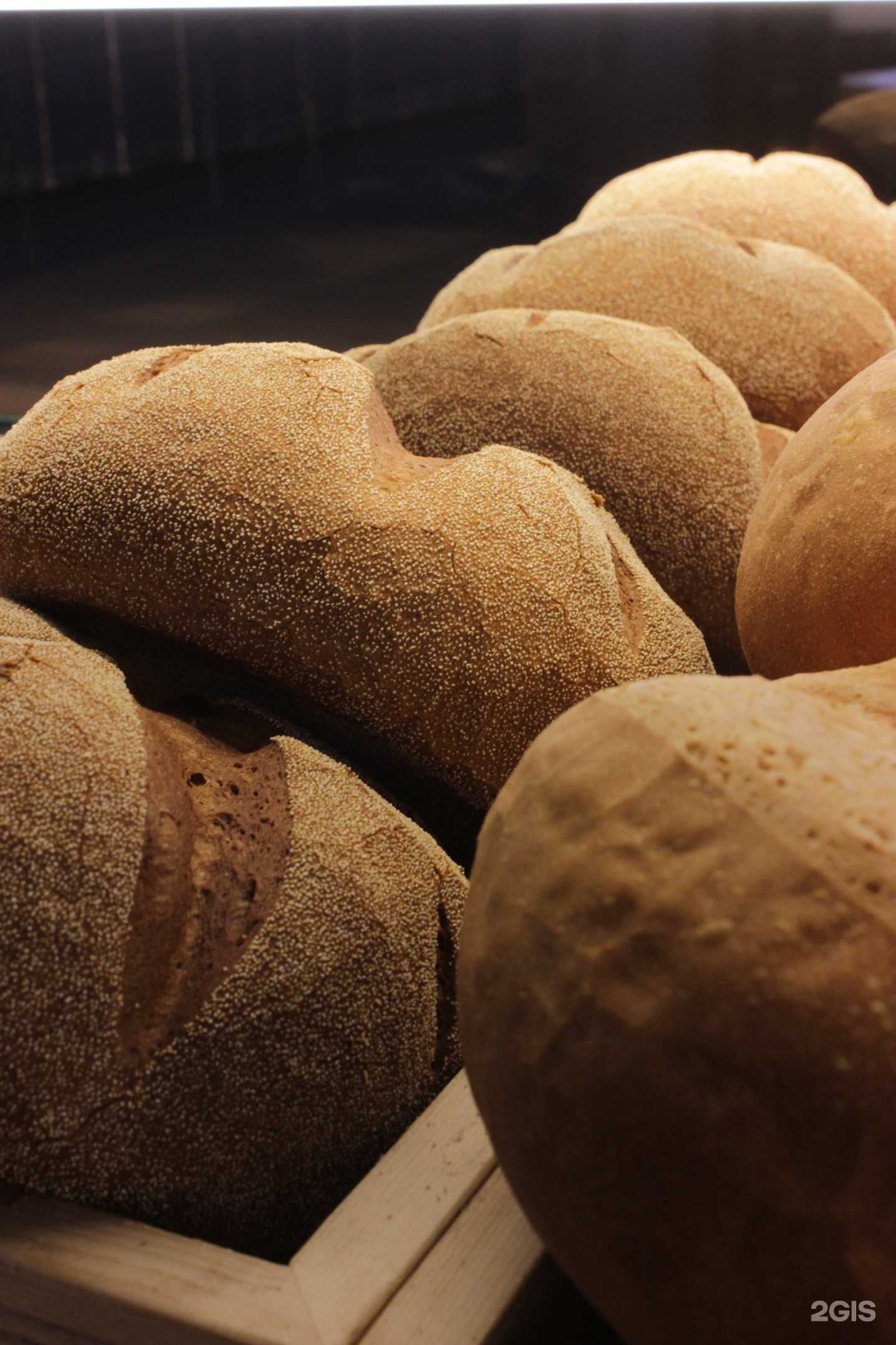 Отзывы на компанию Буlки в Анапе c фото