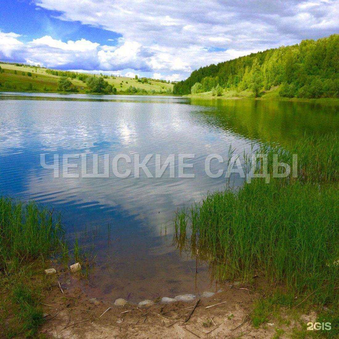 Отзывы на компанию Чешские сады в Нижнем Новгороде c фото