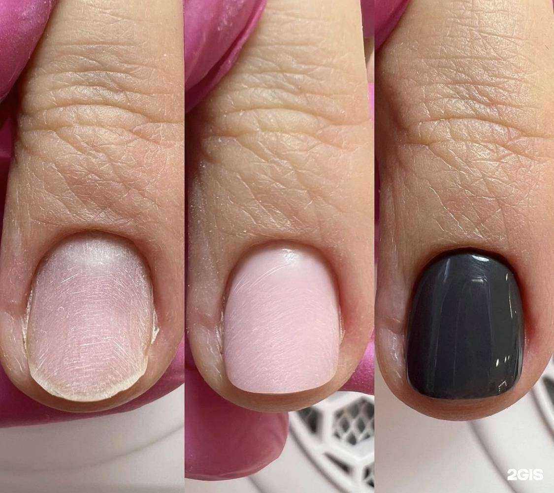 Отзывы на компанию Нектарин в г. Астрахань c фото