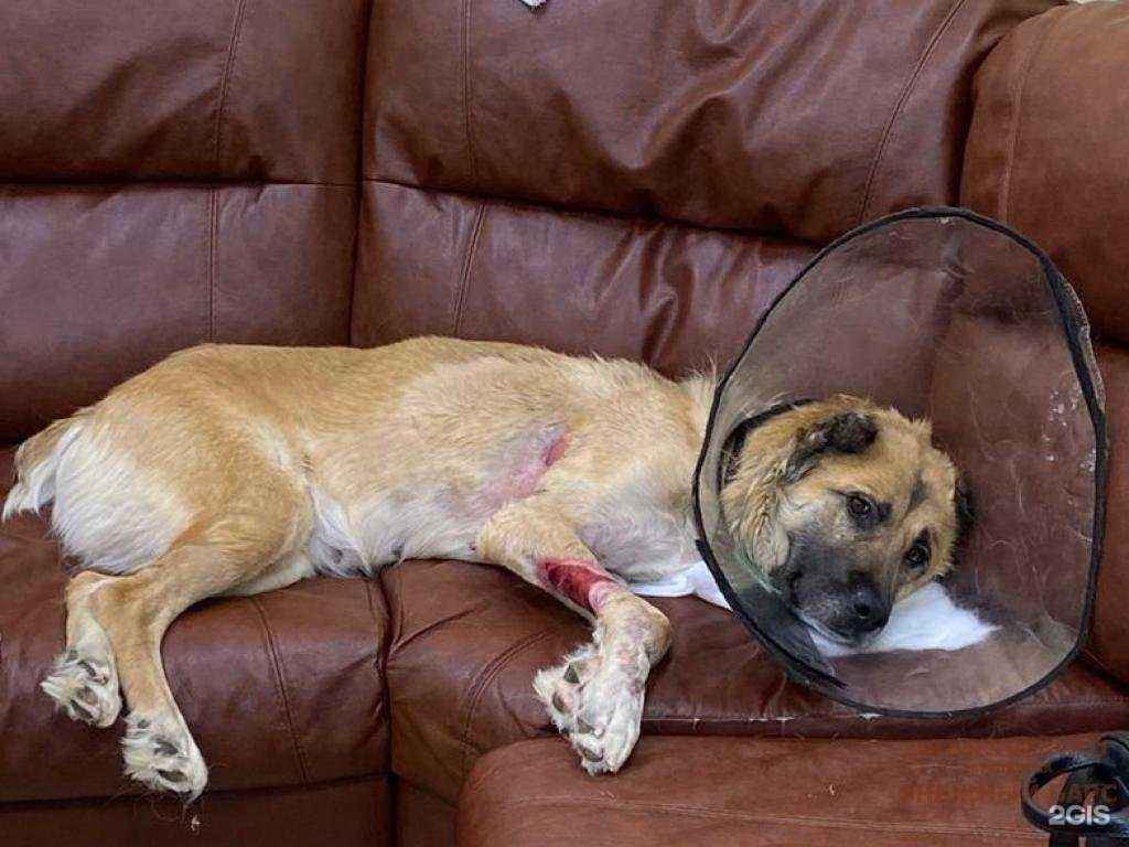 Отзывы на компанию Снежный Барс в Можайске c фото