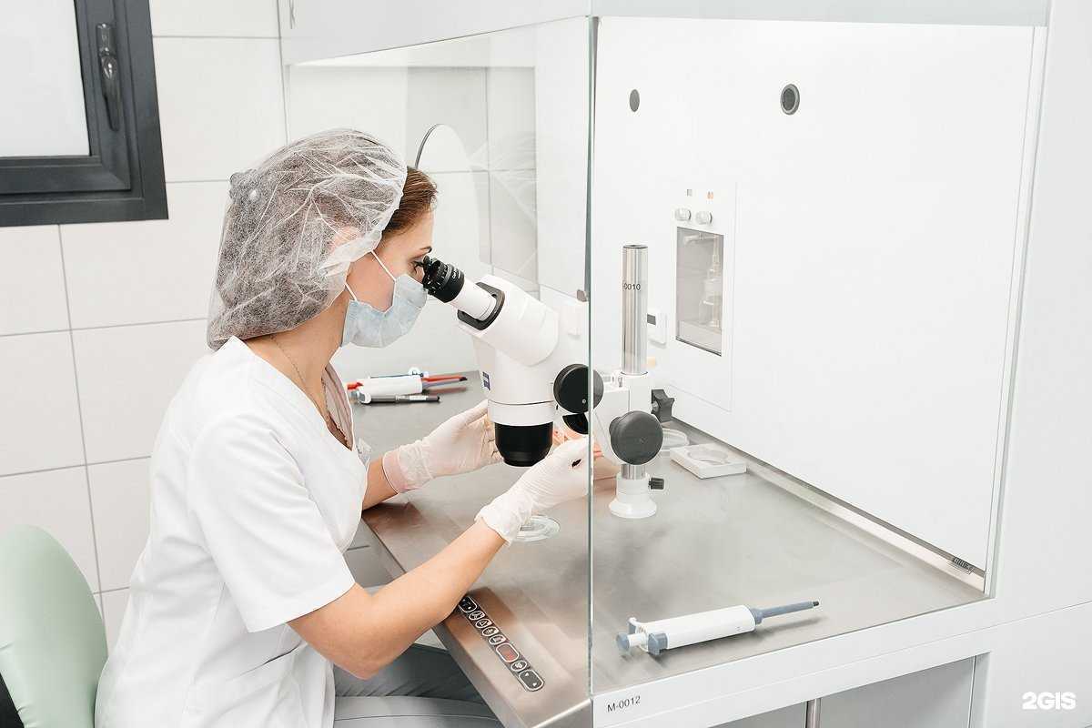 Отзывы на компанию Витромед в Новосибирске c фото