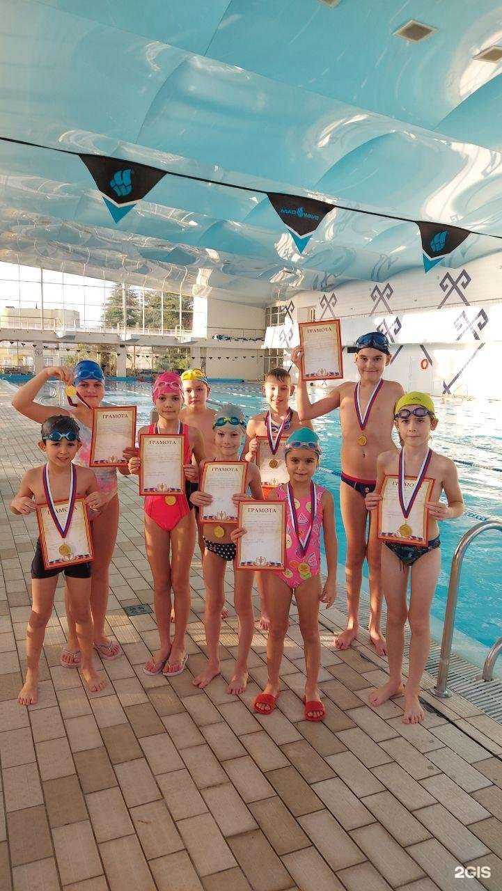 Отзывы на компанию Дельфин в Сочи c фото