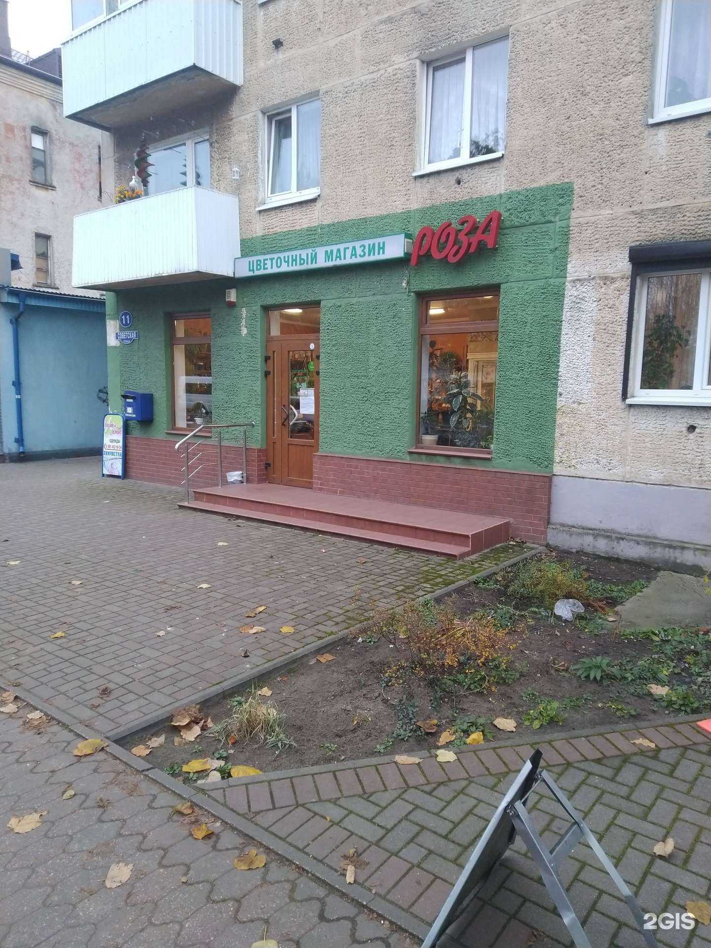 Отзывы на компанию Роза в Светлом c фото