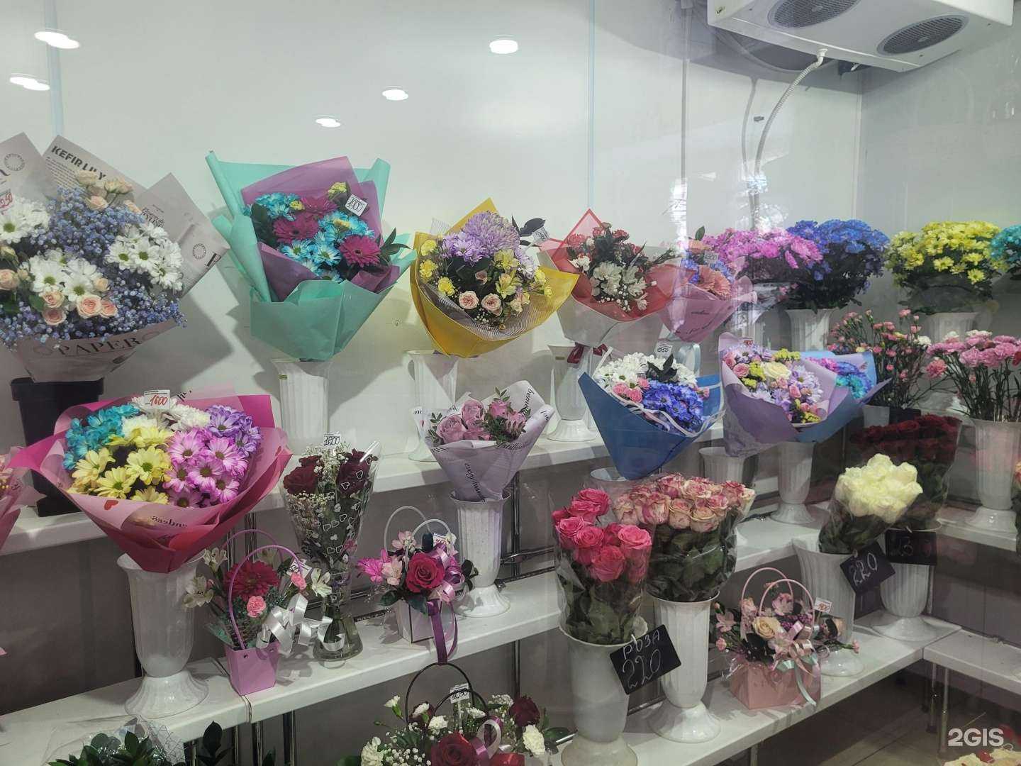 Отзывы на компанию Элис в г. Чебаркуль c фото