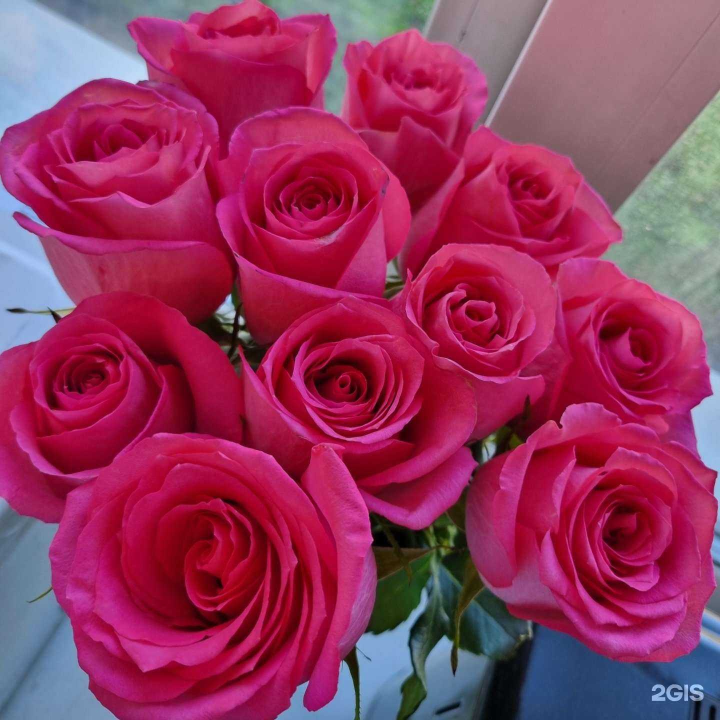 Отзывы на компанию L`studio в Киселёвске c фото