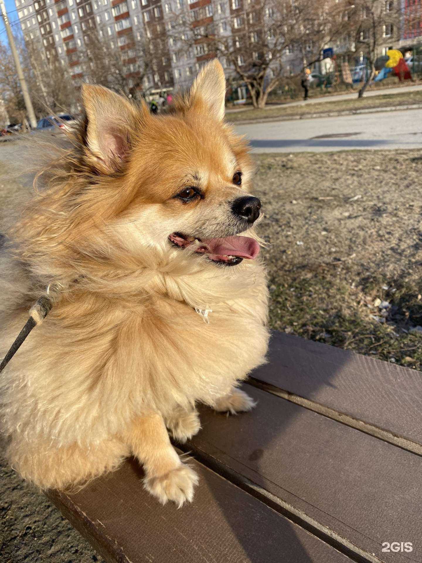 Отзывы на компанию Lucky в Перми c фото