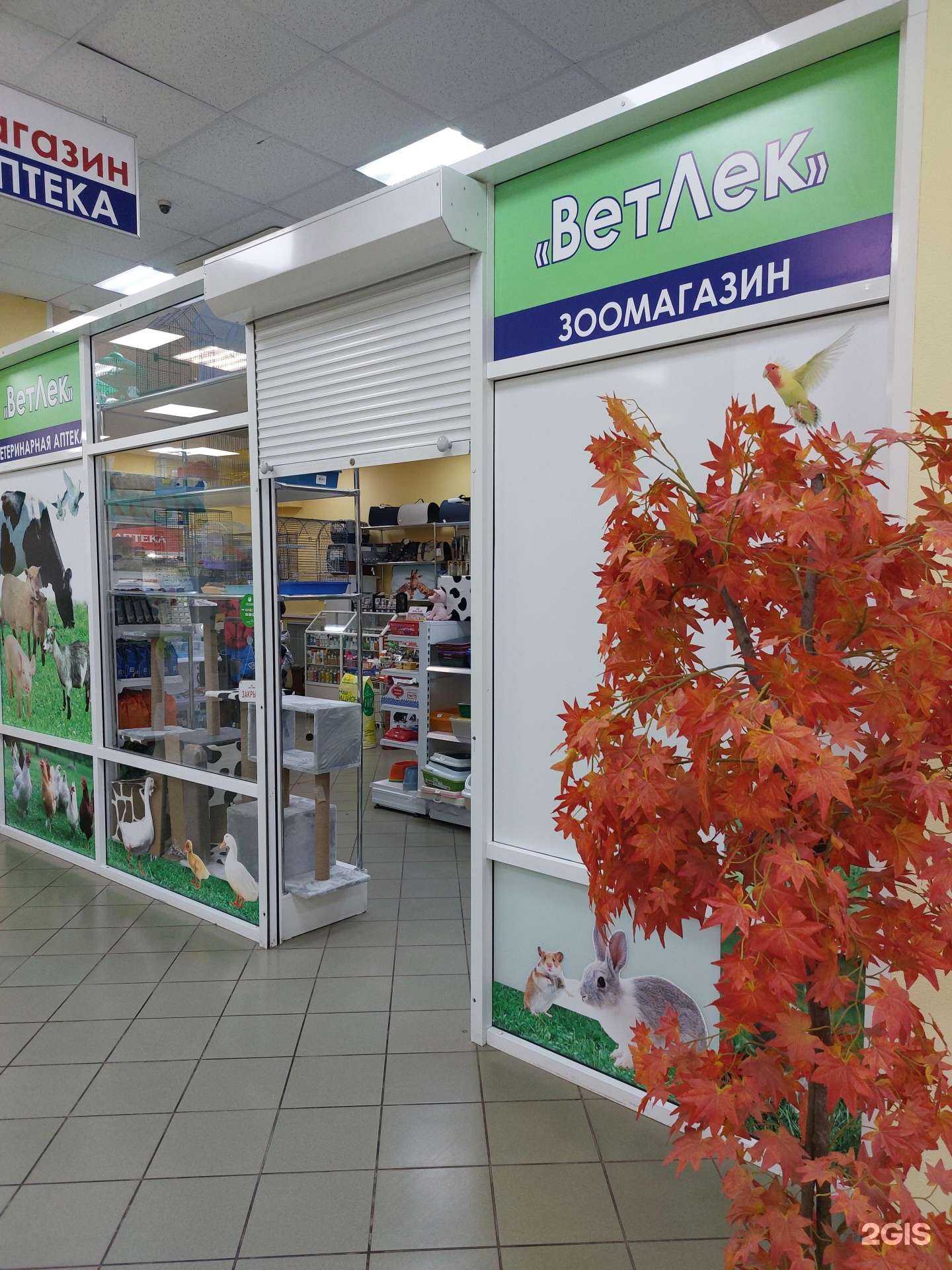 Отзывы на компанию ВетЛек в Липецке c фото