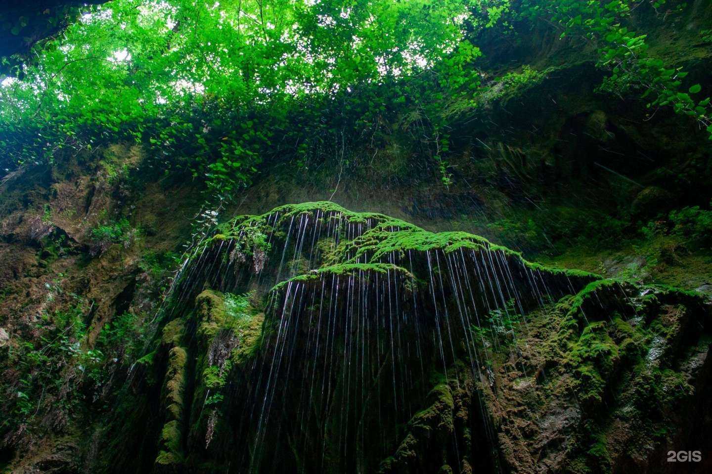 Отзывы на компанию Buenos dias в г. Сочи c фото