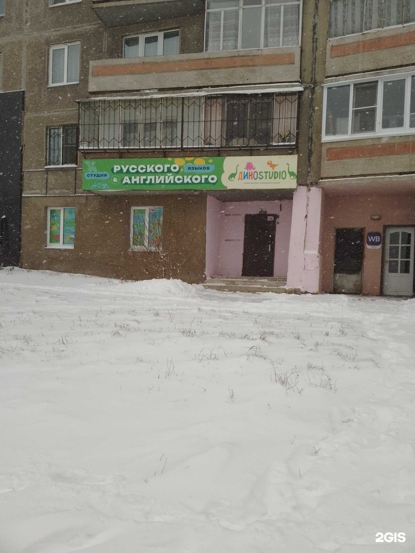 Отзывы на компанию DinoStudio в Магнитогорске c фото