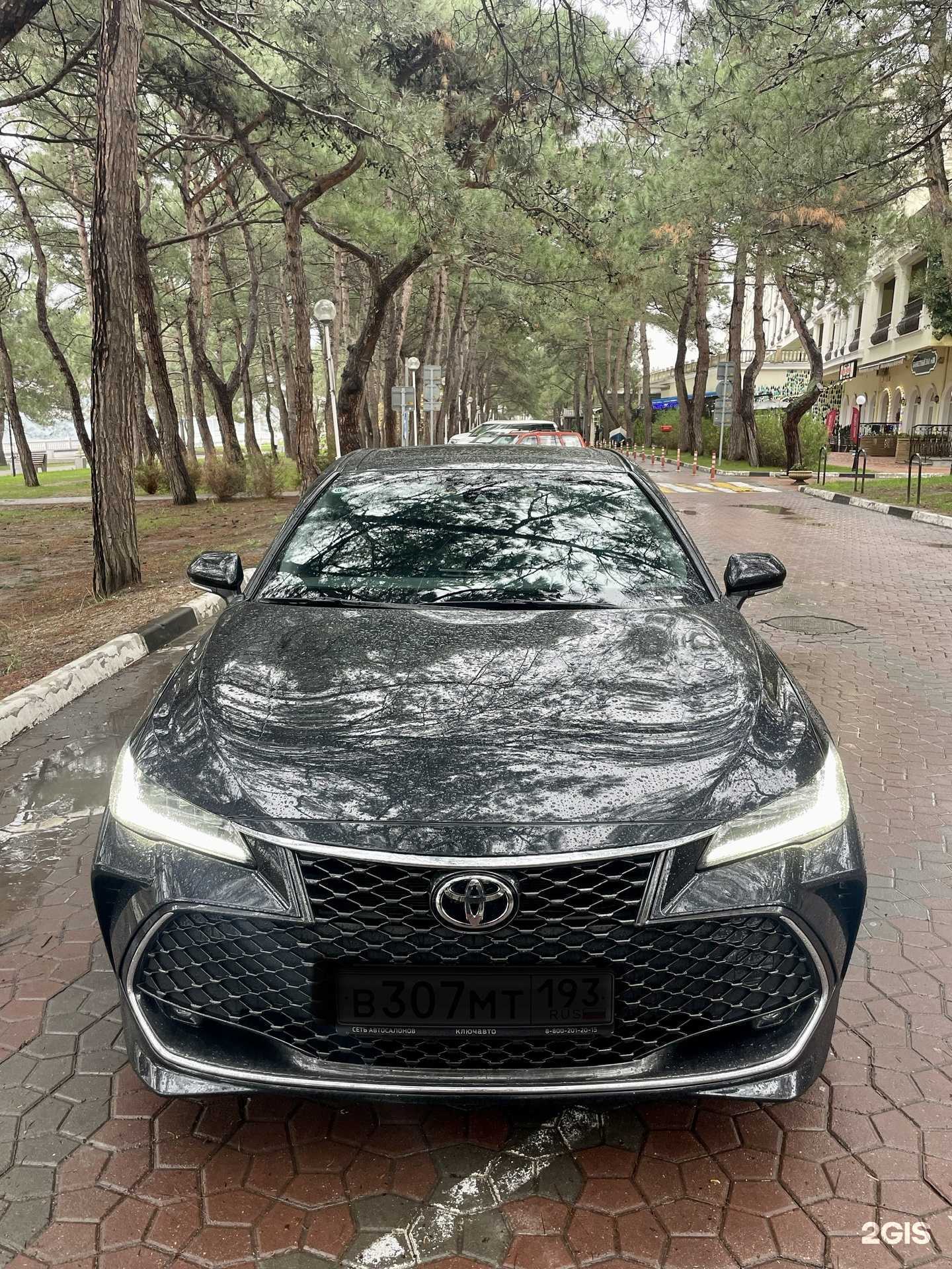 Отзывы на компанию Трансферная компания в г. Геленджик c фото