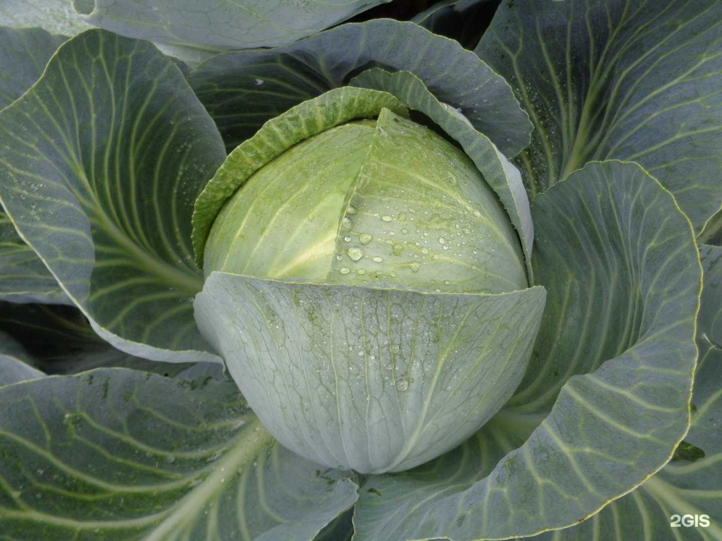 Отзывы на компанию Агро-департамент в Оренбурге c фото