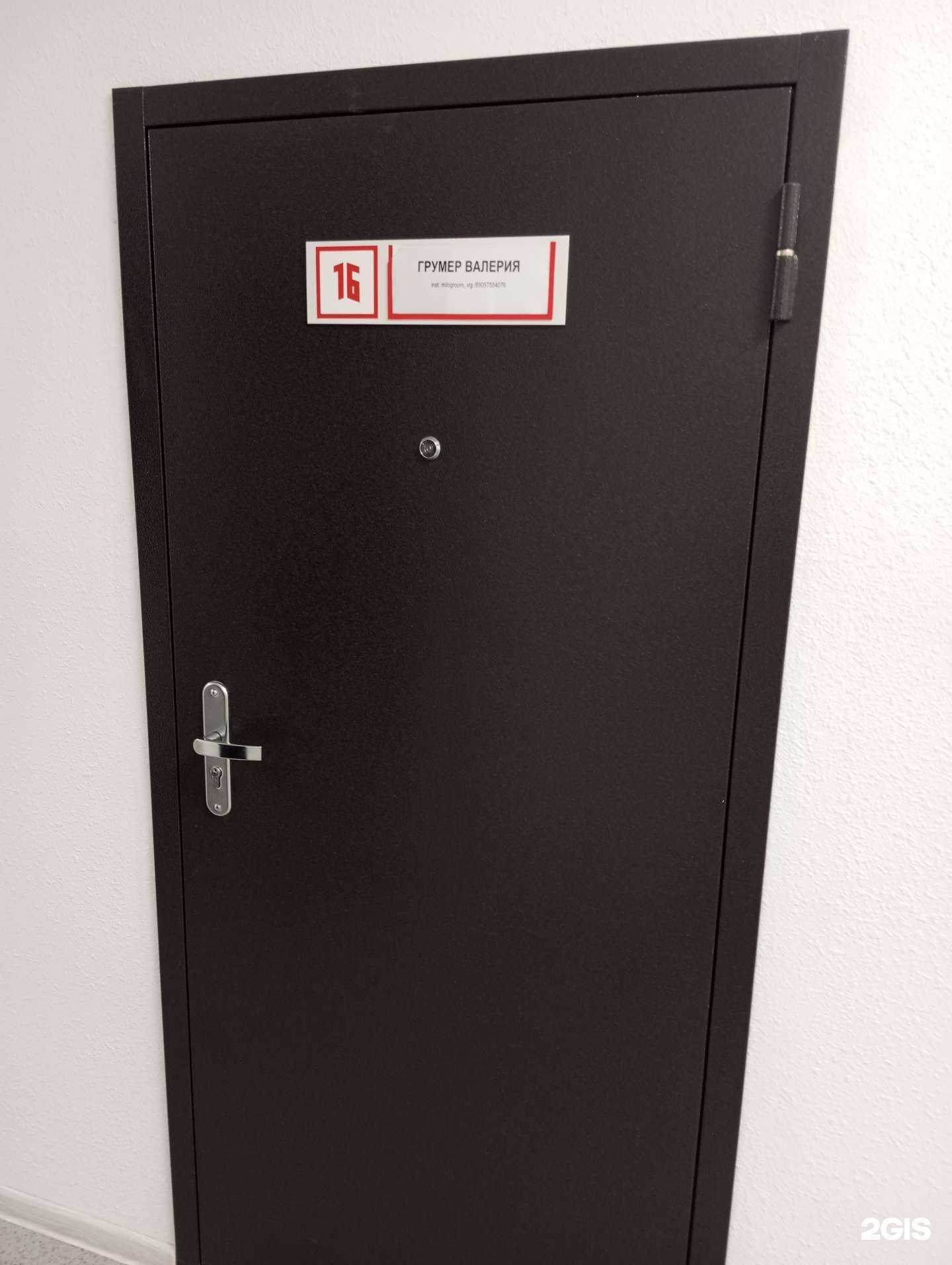 Отзывы на компанию Студия груминга в Волгограде c фото