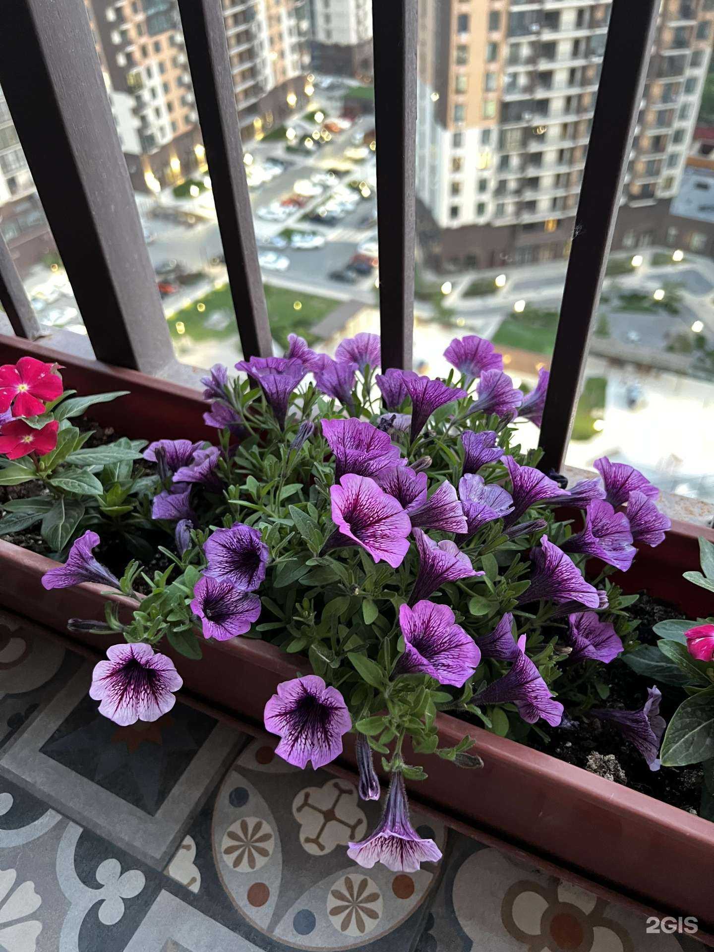 Отзывы на компанию GreenProfi gardens в Астрахани c фото