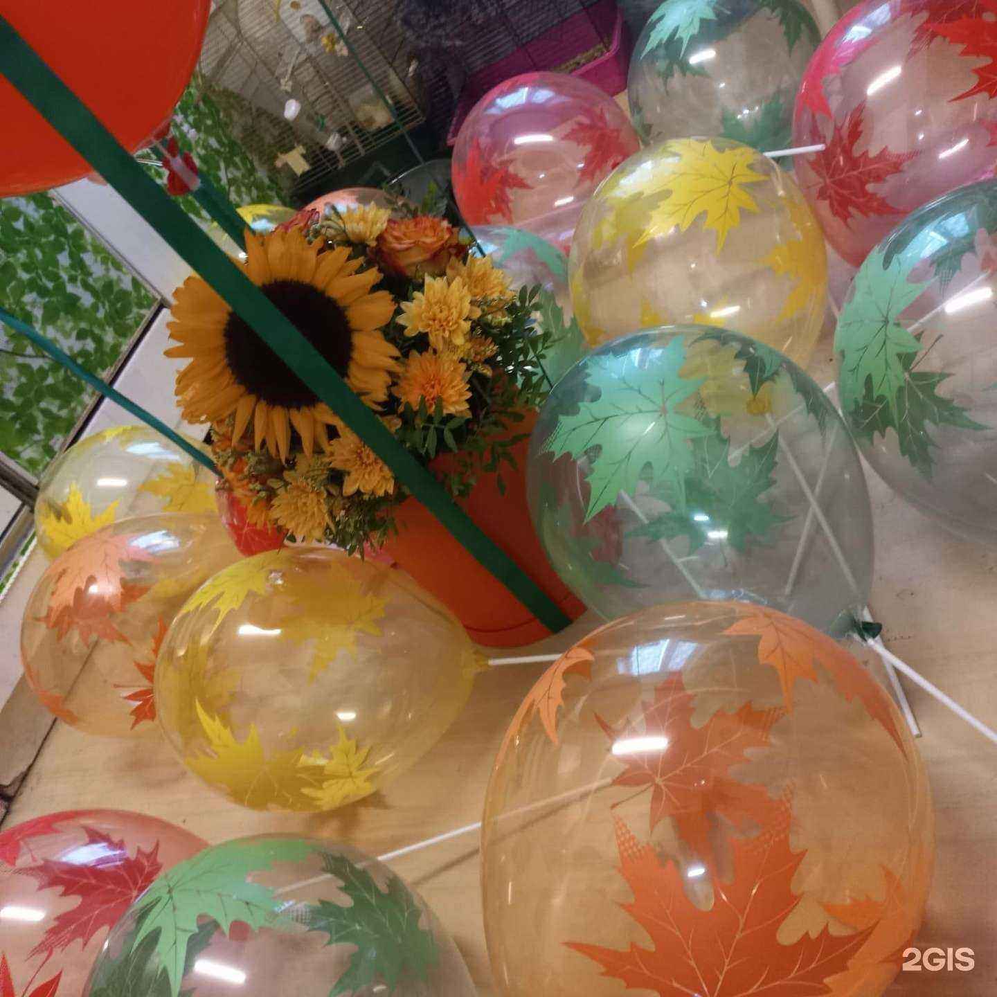 Отзывы на компанию Crazy podarok в г. Куровское c фото