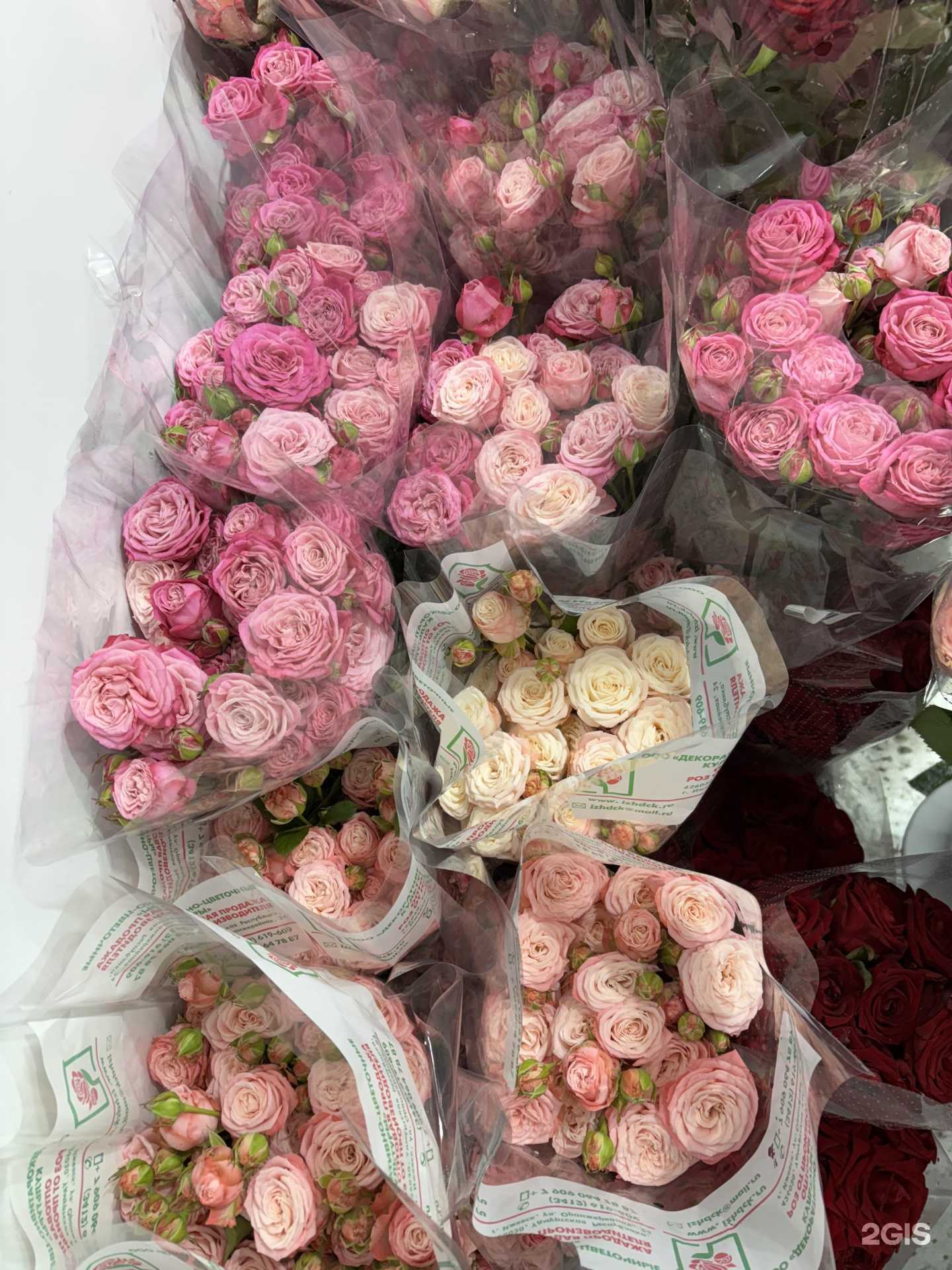 Отзывы на компанию Цветы74 в г. Челябинск c фото