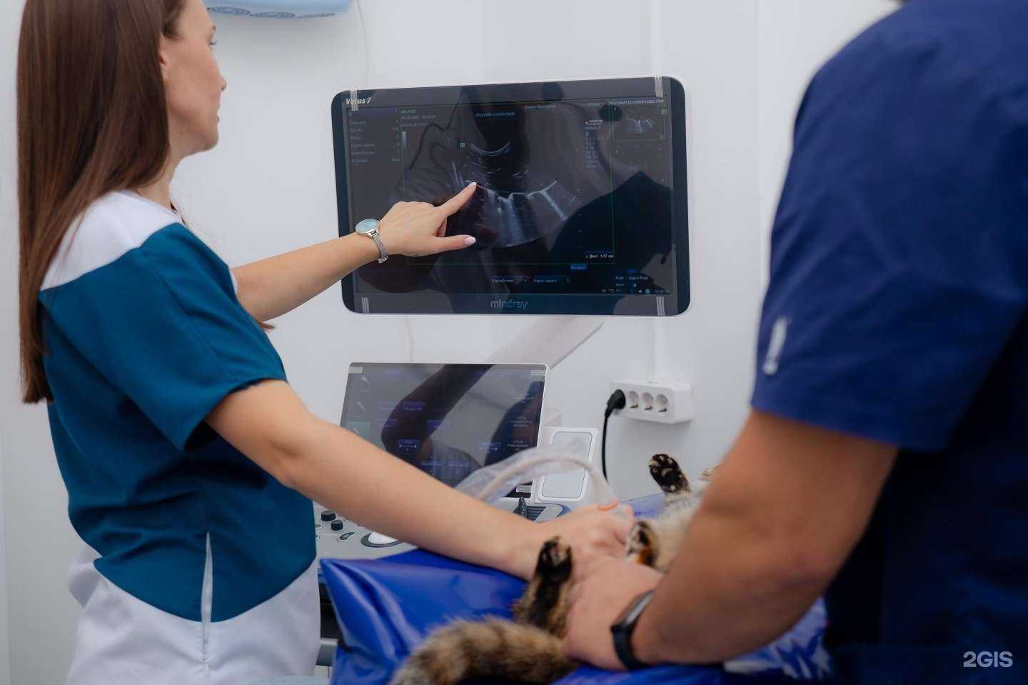 Отзывы на компанию HelpVet в г. Махачкала c фото