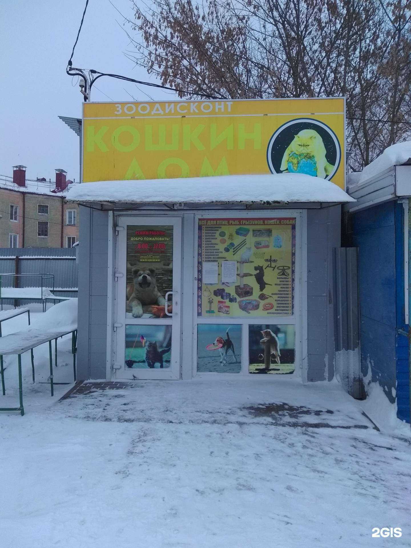 Отзывы на компанию Кошкин дом в Брянске c фото