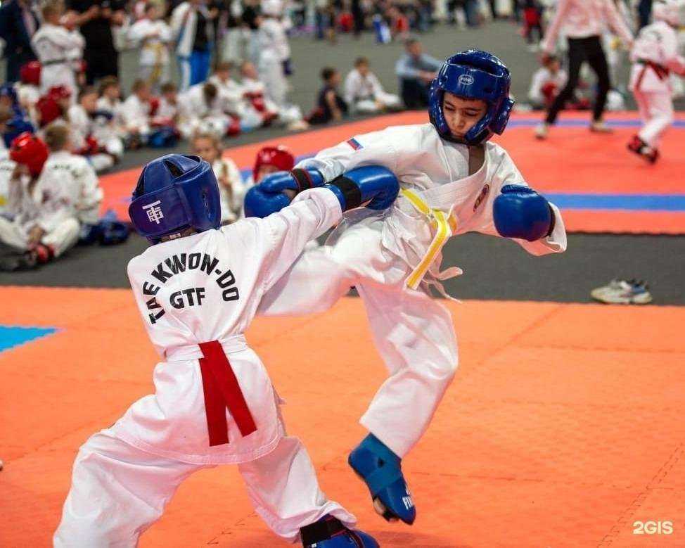 Отзывы на компанию Федерация Тхэквондо ГТФ Омской области в Омске c фото