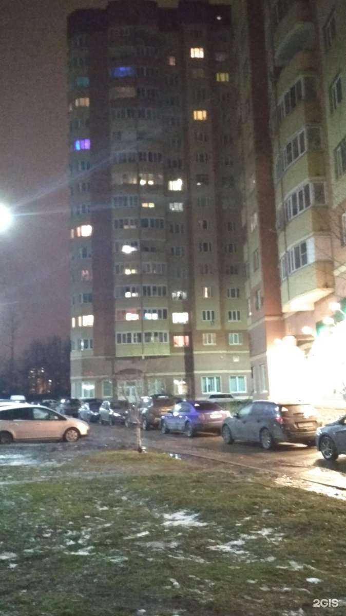 Отзывы на компанию Дети Олимпа в Ярославле c фото - фотография 2 из 2