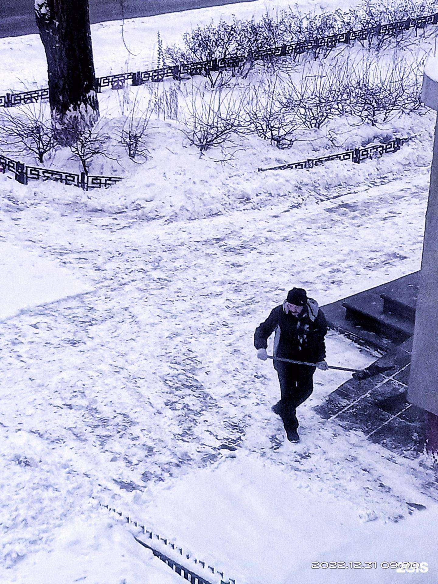 Отзывы на компанию Центр спортивного обеспечения в Нижнем Новгороде c фото - фотография 2 из 2