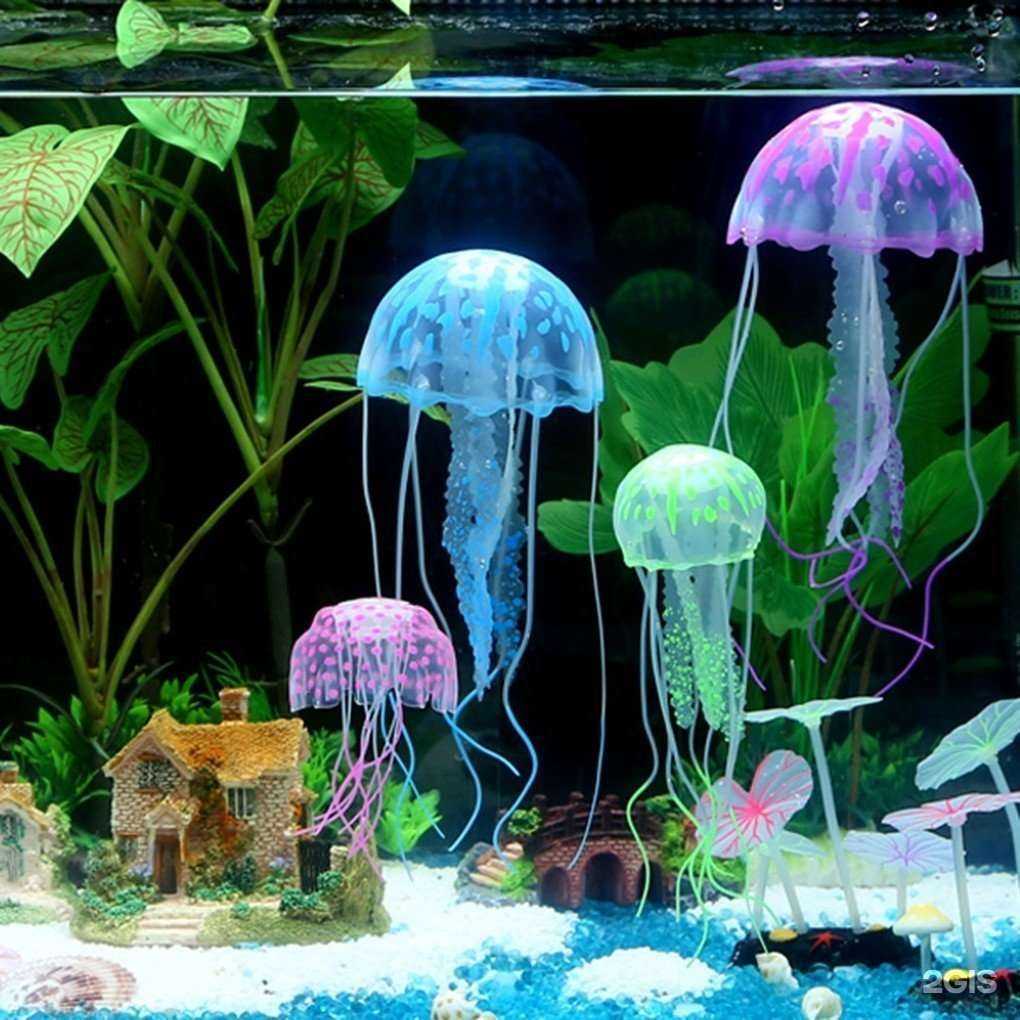 Отзывы на компанию ZooAkva в Волжском c фото