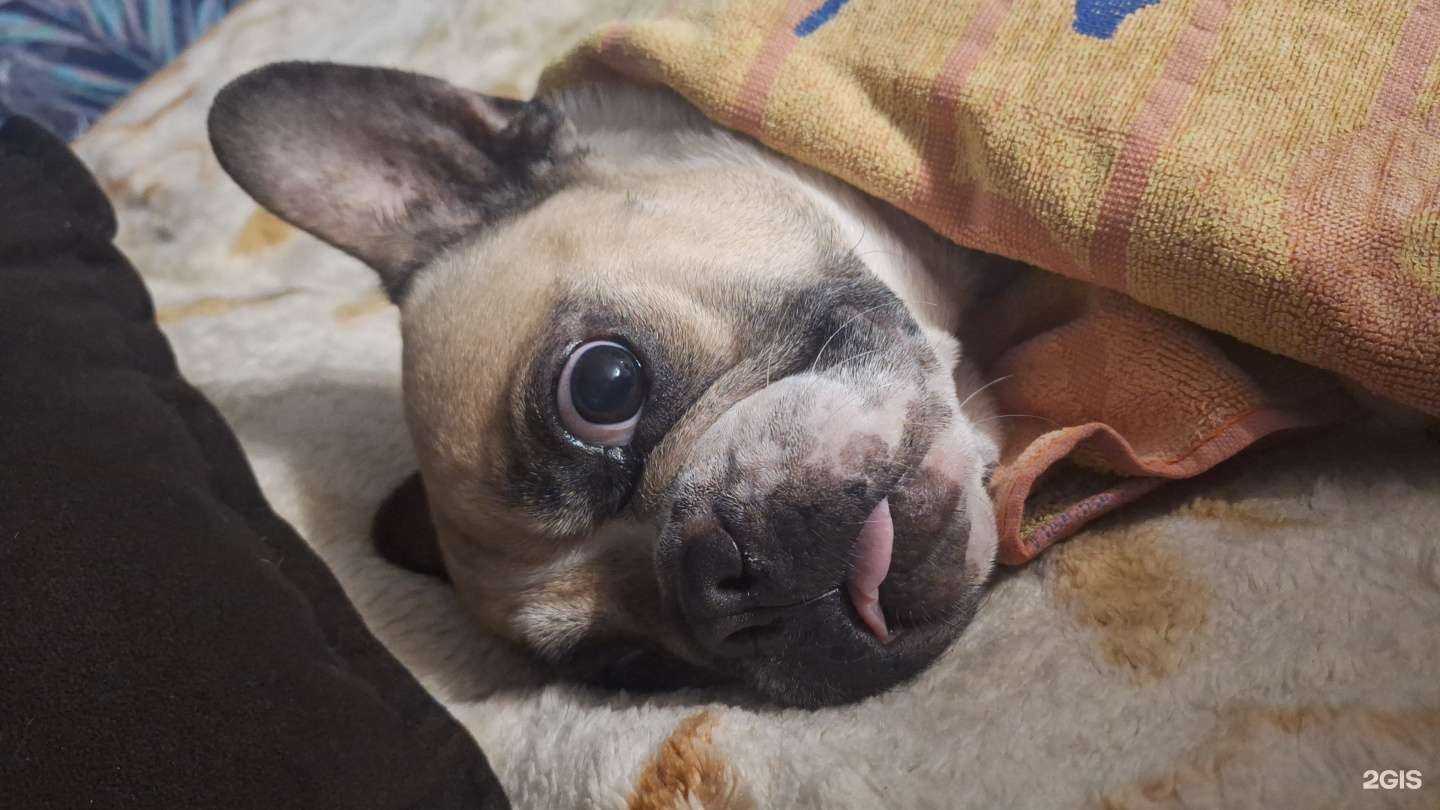 Отзывы на компанию Белый Лев в г. Сочи c фото