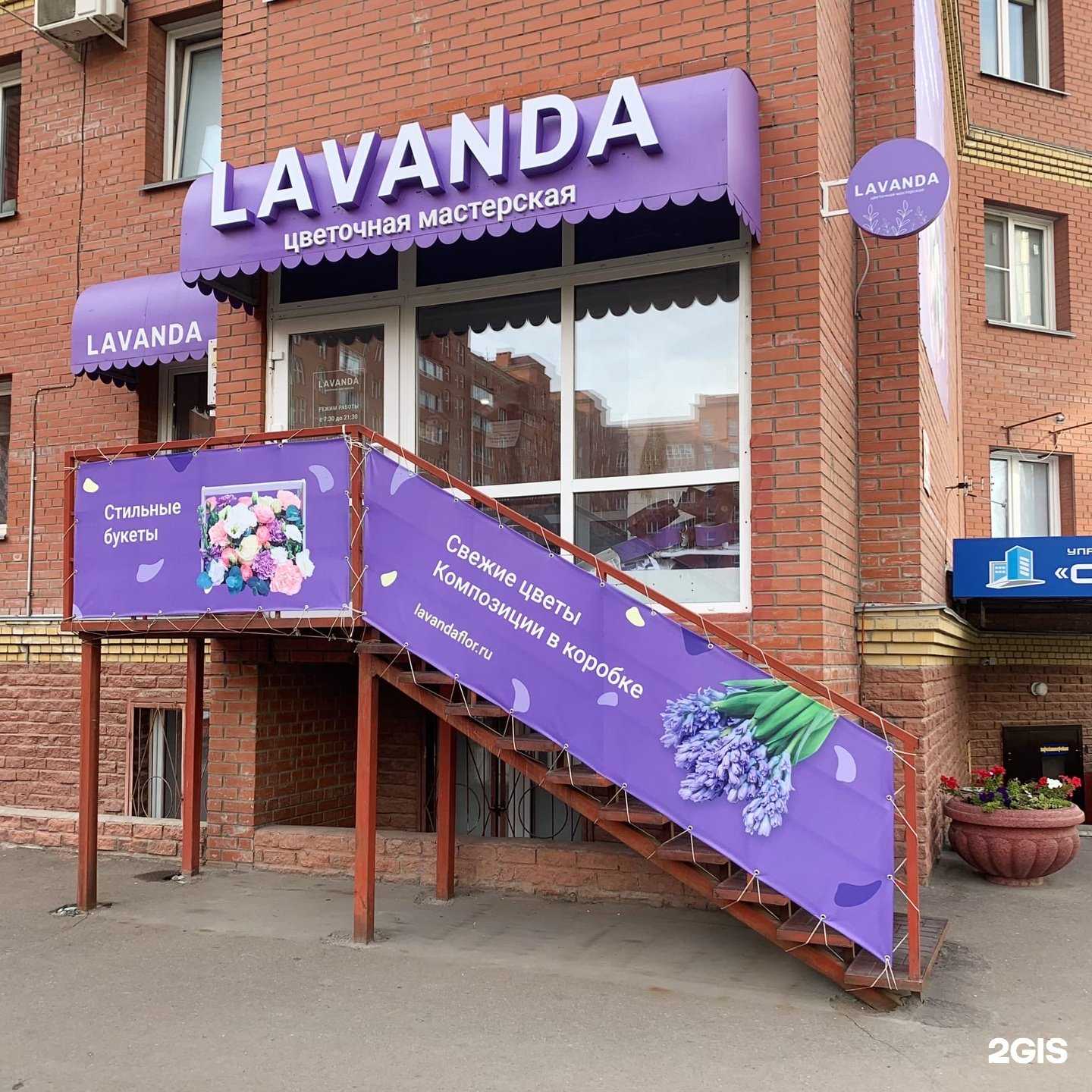 Отзывы на компанию LAVANDA в Омске c фото