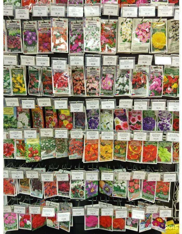 Отзывы на компанию Колос в Барнауле c фото