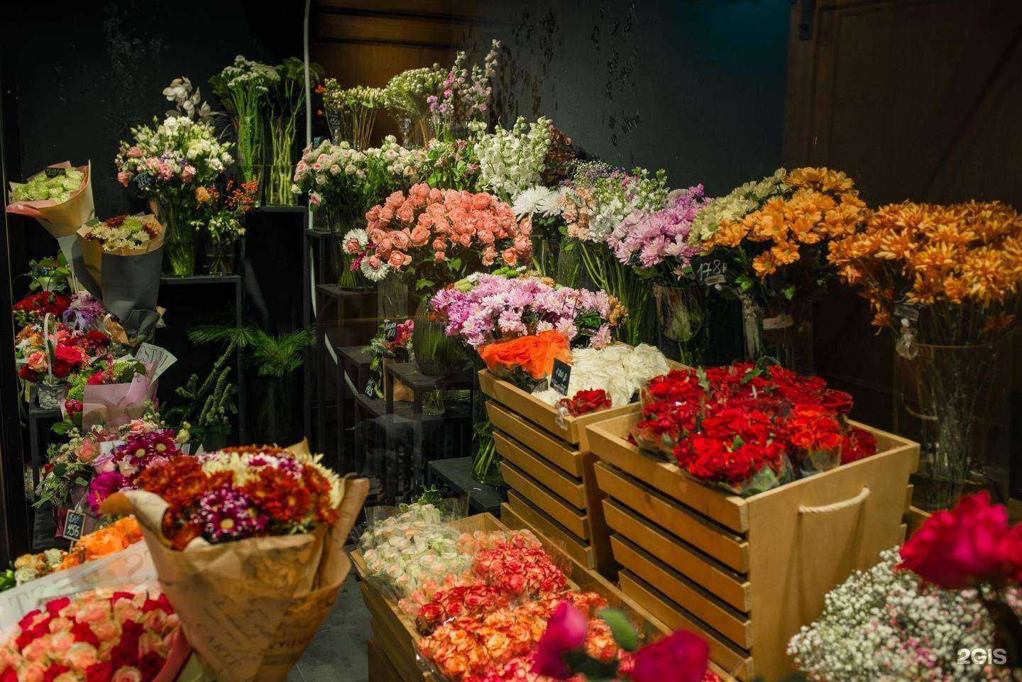 Отзывы на компанию Амстердам в Рязани c фото