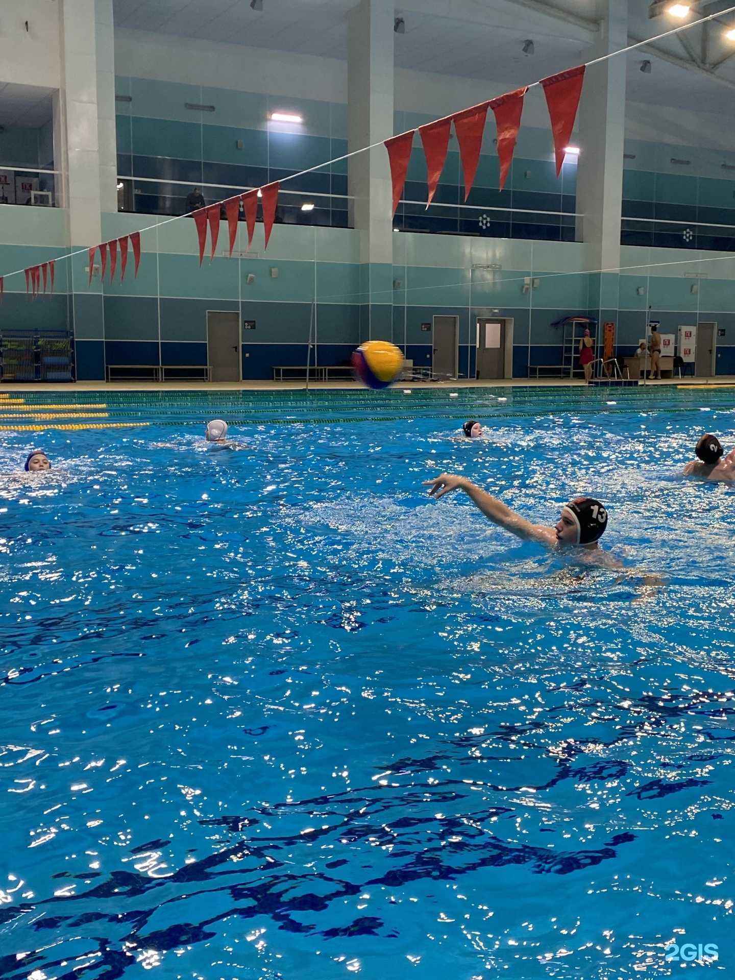 Отзывы на компанию Федерация водного поло Красноярского края в Красноярске c фото