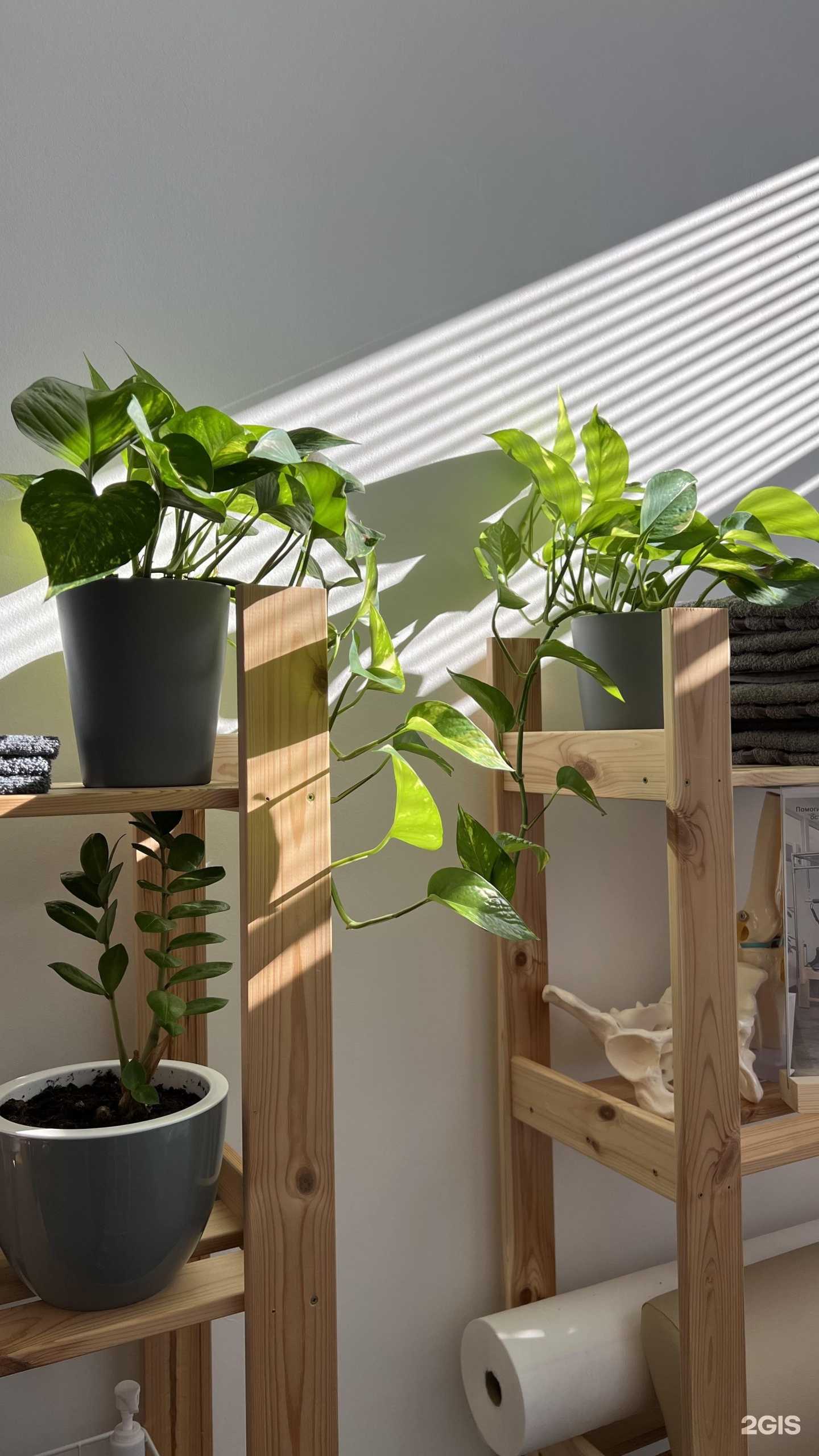 Отзывы на компанию Студия пилатеса в Краснодаре c фото