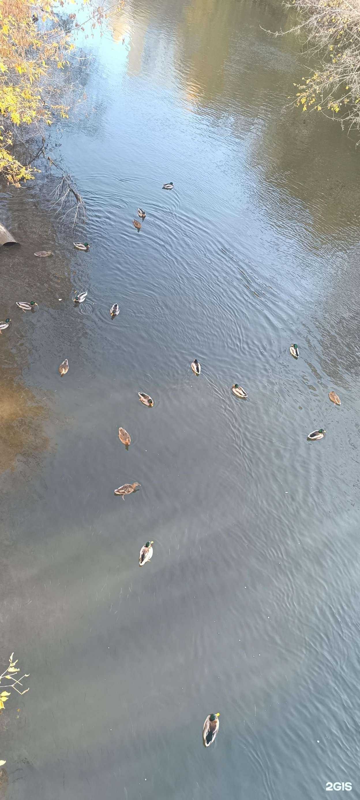 Отзывы на компанию Живая вода в Уфе c фото - фотография 2 из 2