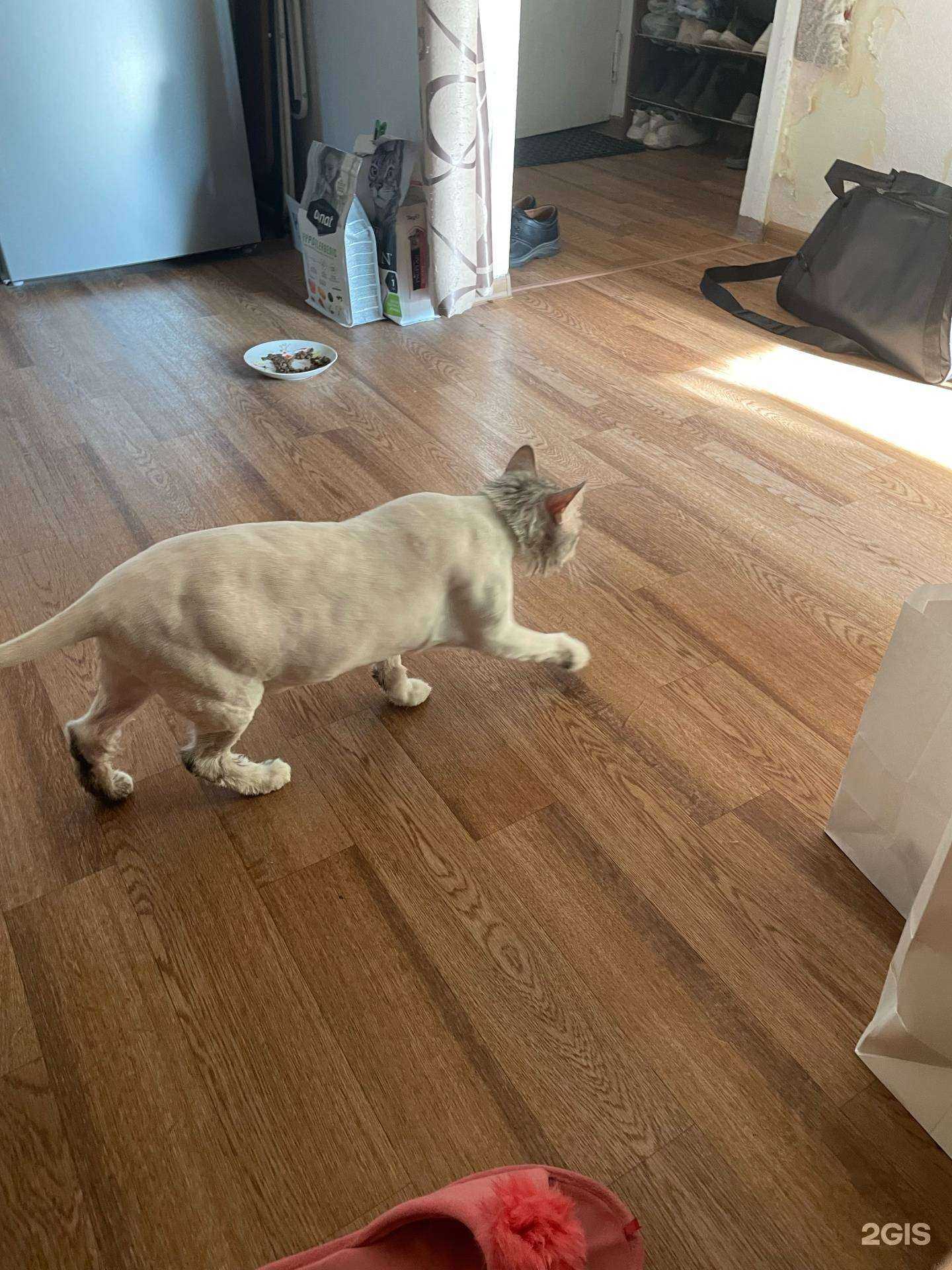 Отзывы на компанию Mimigroom в Волгограде c фото