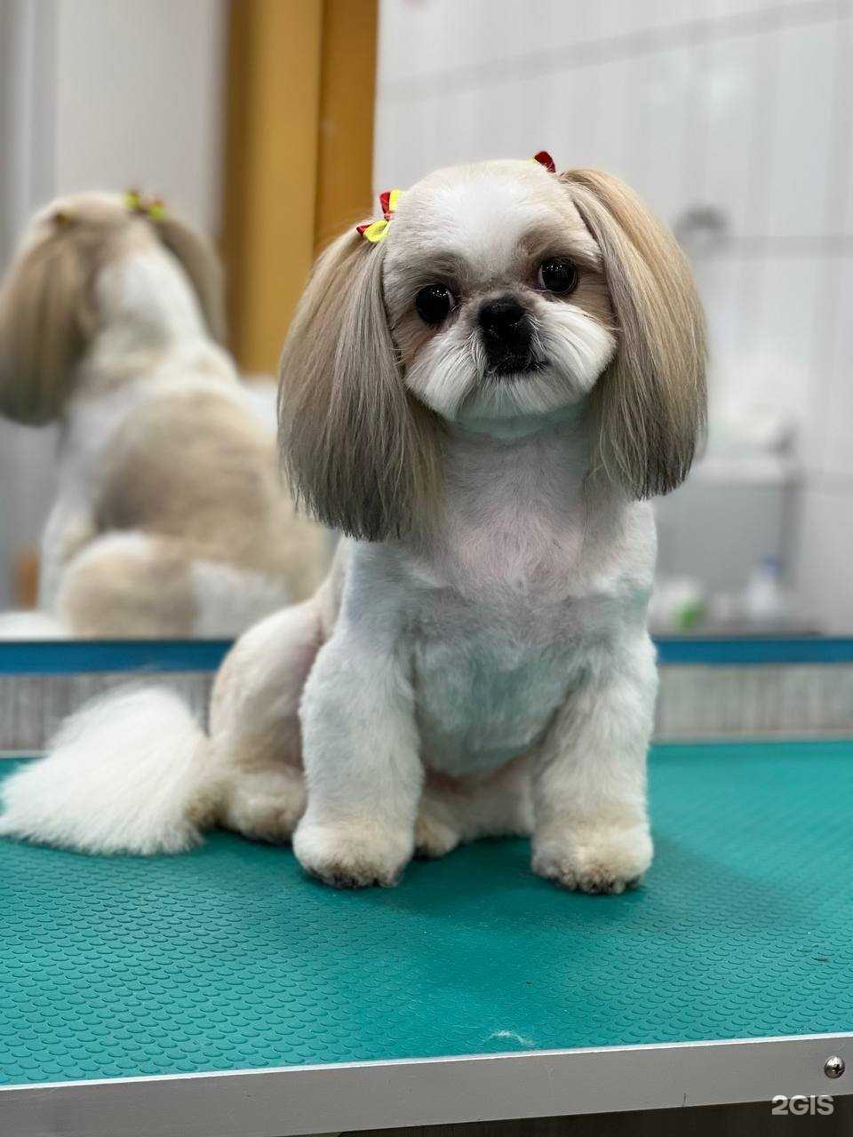 Отзывы на компанию Groom в г. Одинцово c фото