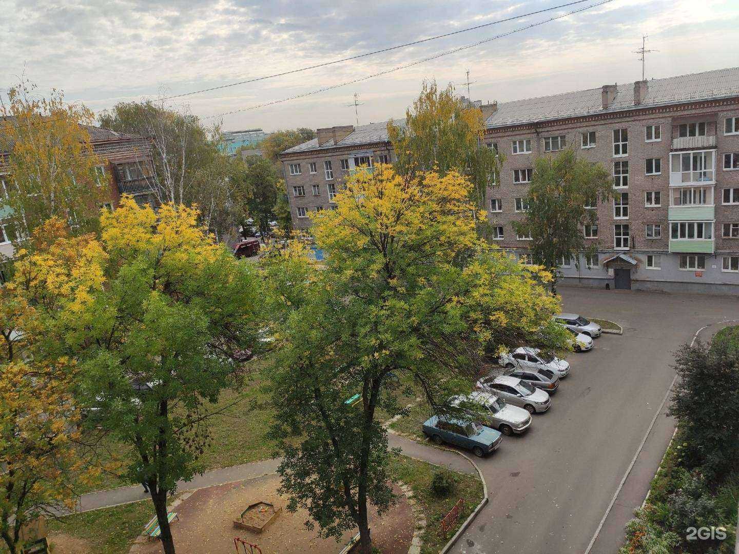 Отзывы на компанию Шоколад в Ижевске c фото - фотография 2 из 2