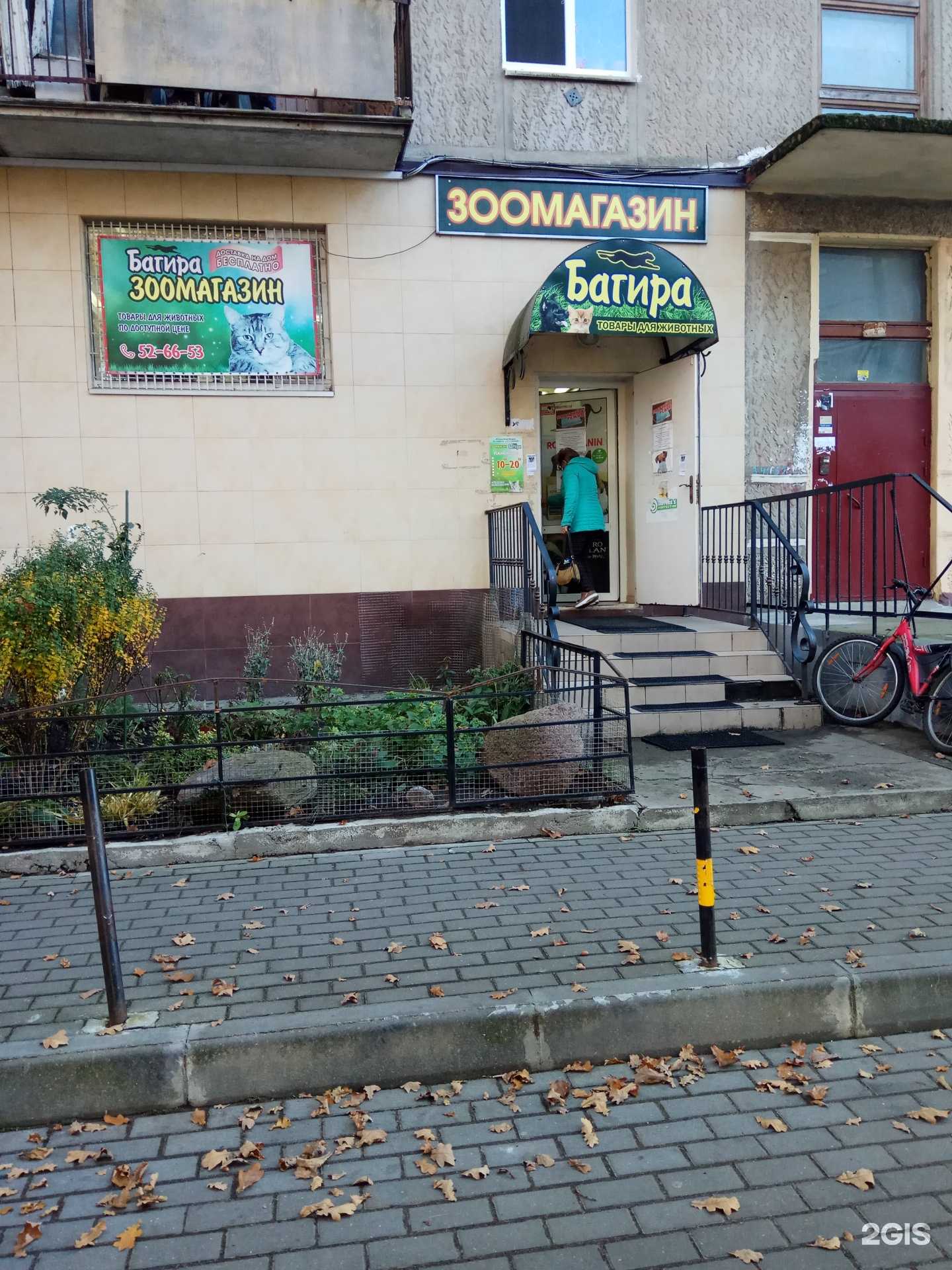 Отзывы на компанию Багира в Калининграде c фото