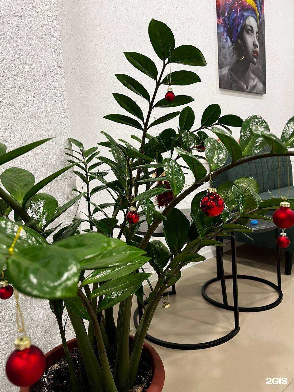 Отзывы на компанию Ами Ли в Ульяновске c фото