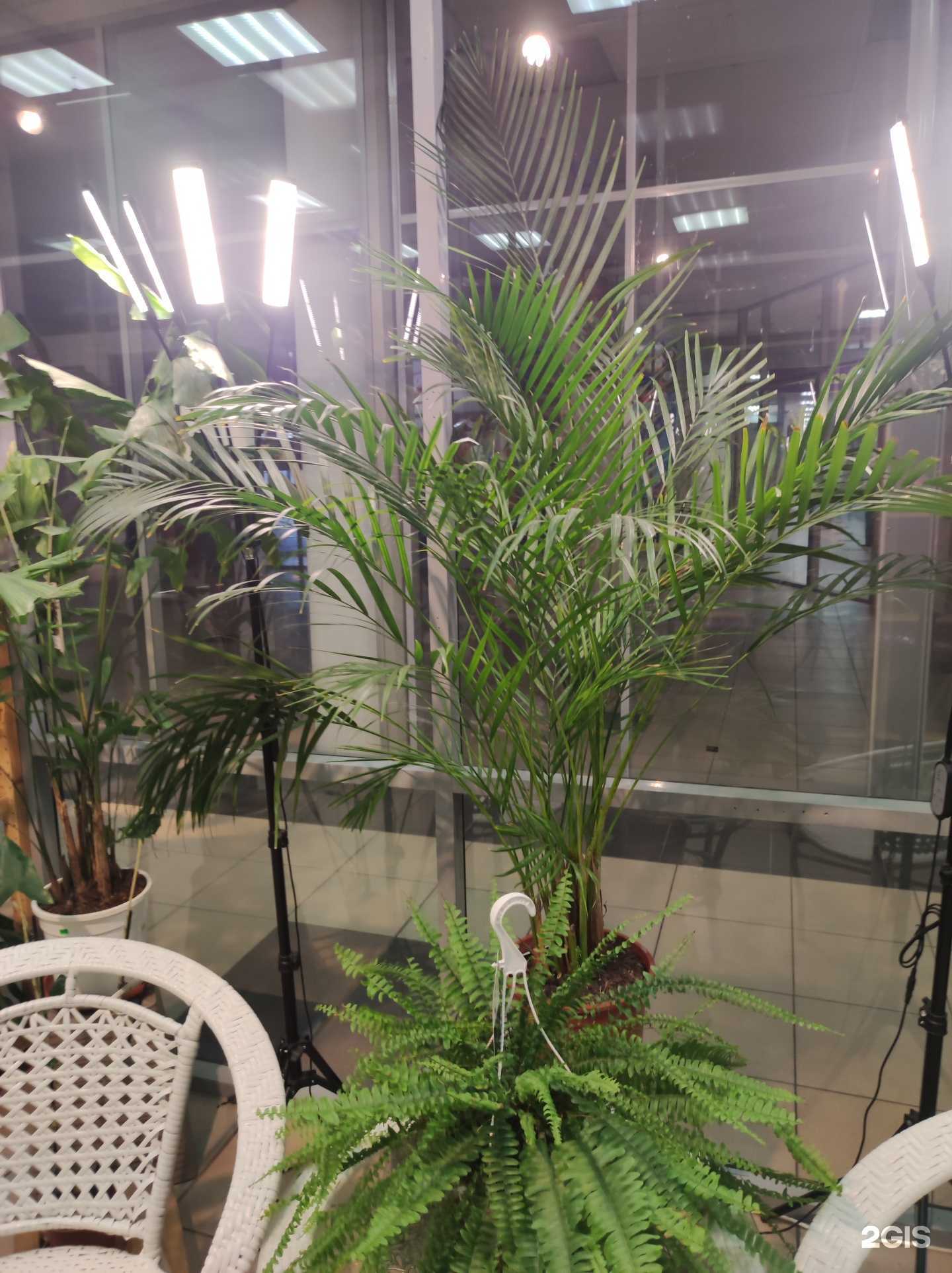 Отзывы на компанию Райский сад в г. Сосновый Бор c фото