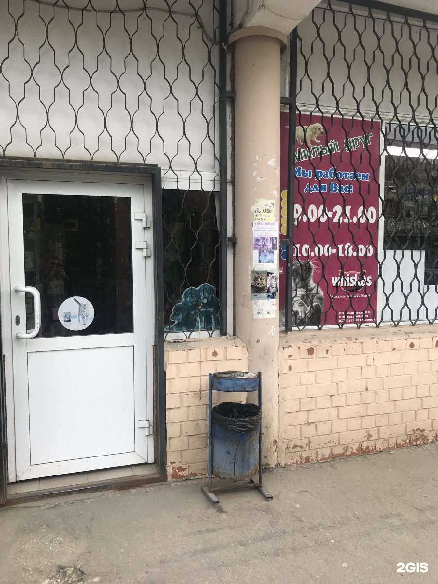 Отзывы на компанию Милый друг в Рязани c фото