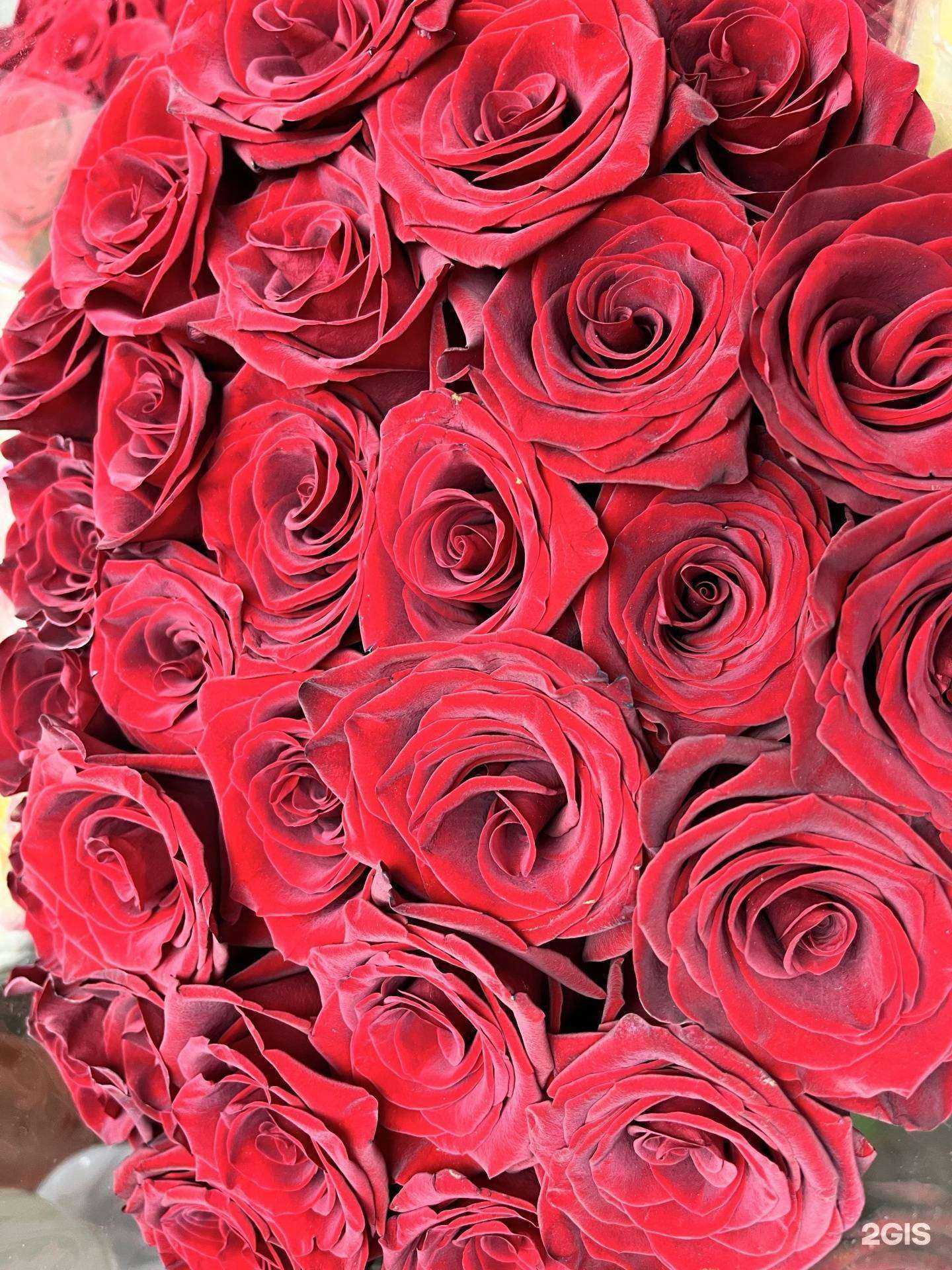 Отзывы на компанию Beauty Flowers в Якутске c фото