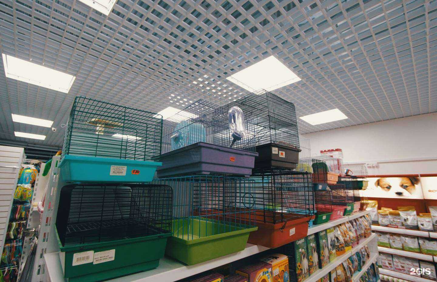 Отзывы на компанию Корма56 в Оренбурге c фото